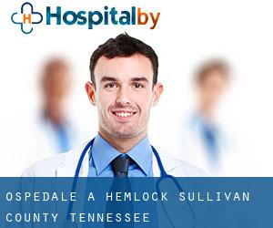 ospedale a Hemlock (Sullivan County, Tennessee)