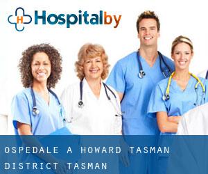 ospedale a Howard (Tasman District, Tasman)