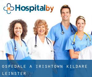 ospedale a Irishtown (Kildare, Leinster)