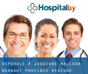 ospedale a Jodoigne (Walloon Brabant Province, Regione Vallone)