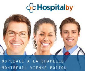 ospedale a La Chapelle-Montreuil (Vienne, Poitou-Charentes)