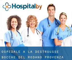 ospedale a La Destrousse (Bocche del Rodano, Provenza-Alpi-Costa Azzurra)