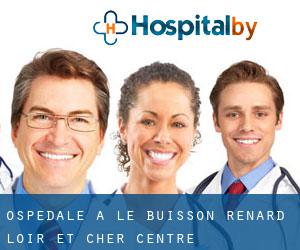ospedale a Le Buisson Renard (Loir-et-Cher, Centre)