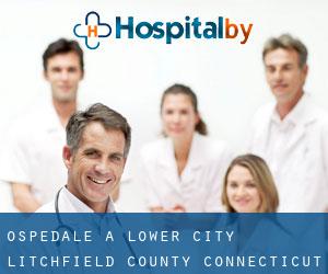 ospedale a Lower City (Litchfield County, Connecticut)