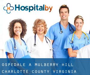 ospedale a Mulberry Hill (Charlotte County, Virginia)