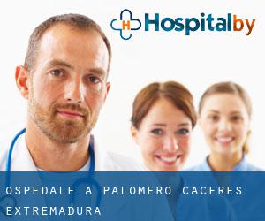 ospedale a Palomero (Caceres, Extremadura)