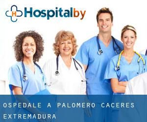 ospedale a Palomero (Caceres, Extremadura)