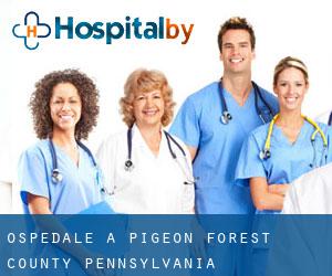 ospedale a Pigeon (Forest County, Pennsylvania)