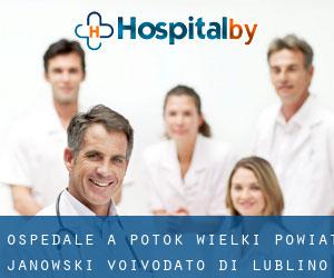 ospedale a Potok Wielki (Powiat janowski, Voivodato di Lublino)