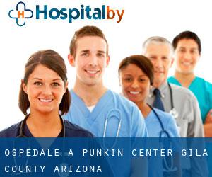 ospedale a Punkin Center (Gila County, Arizona)