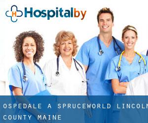 ospedale a Spruceworld (Lincoln County, Maine)