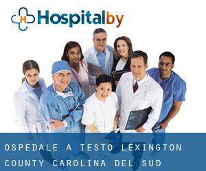 ospedale a Testo (Lexington County, Carolina del Sud)