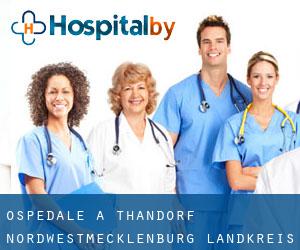ospedale a Thandorf (Nordwestmecklenburg Landkreis, Meclemburgo-Pomerania Anteriore)