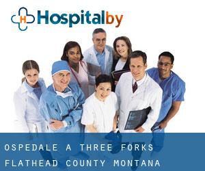ospedale a Three Forks (Flathead County, Montana)