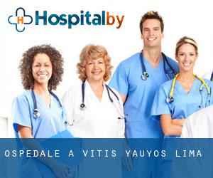 ospedale a Vitis (Yauyos, Lima)