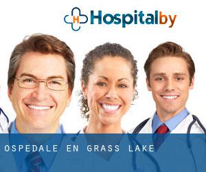 ospedale en Grass Lake